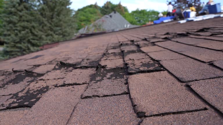 Best Roof Replacement  in Milan, MO