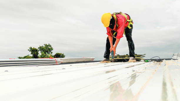 Best Roof Moss and Algae Removal  in Milan, MO