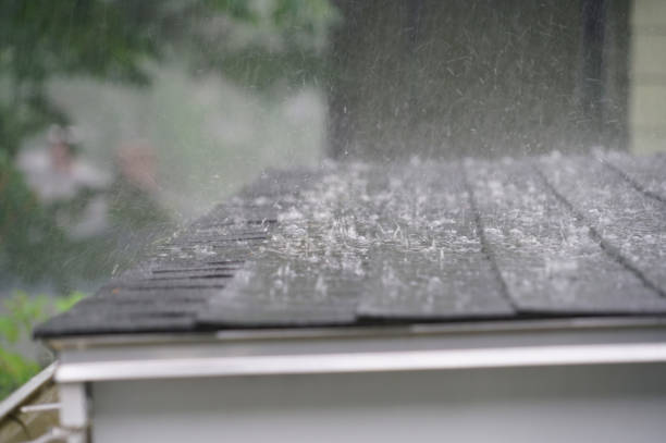 Best Roof Insulation Installation  in Milan, MO